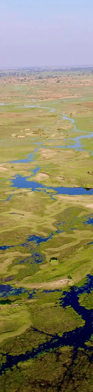 Vol panoramique au-dessus du delta de l'Okavango